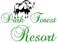 Dark Forest Resort